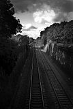 TrainTracks.jpg image by mcgovernjon
